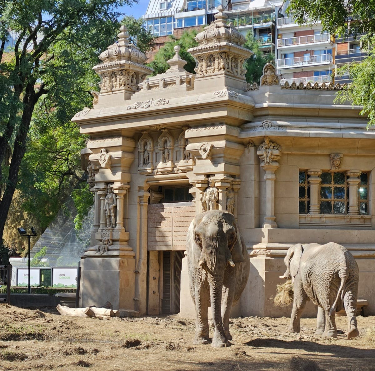 Ecoparque - Recinto de Elefantes