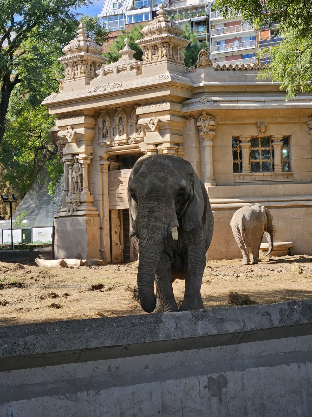 Recinto Elefantes - Imagen 3