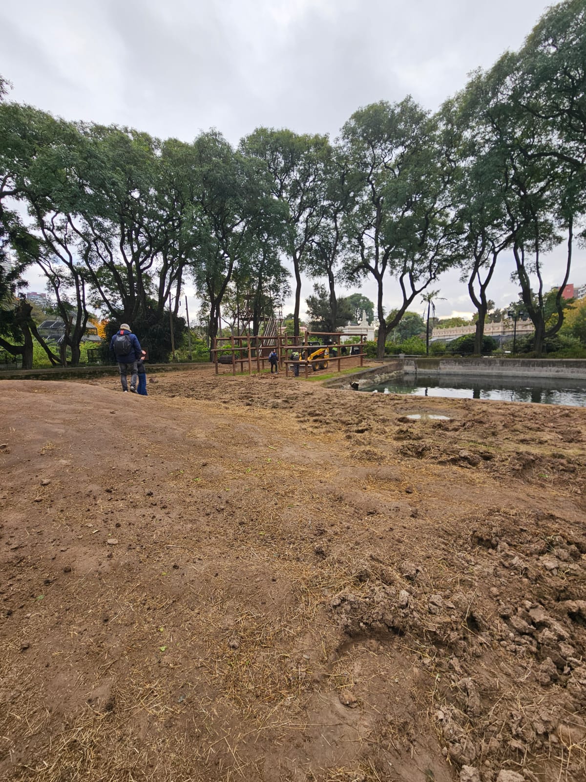 Recinto Elefantes - Imagen 6