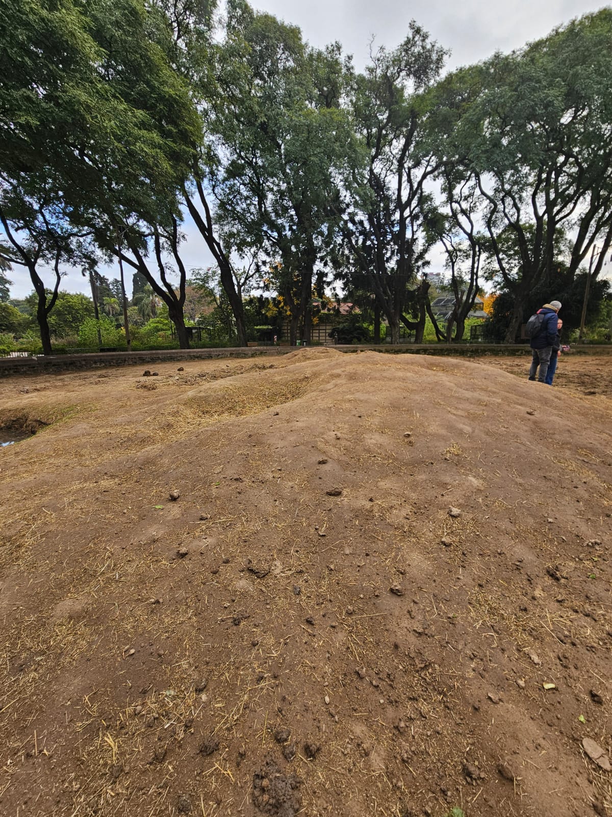 Recinto Elefantes - Imagen 7